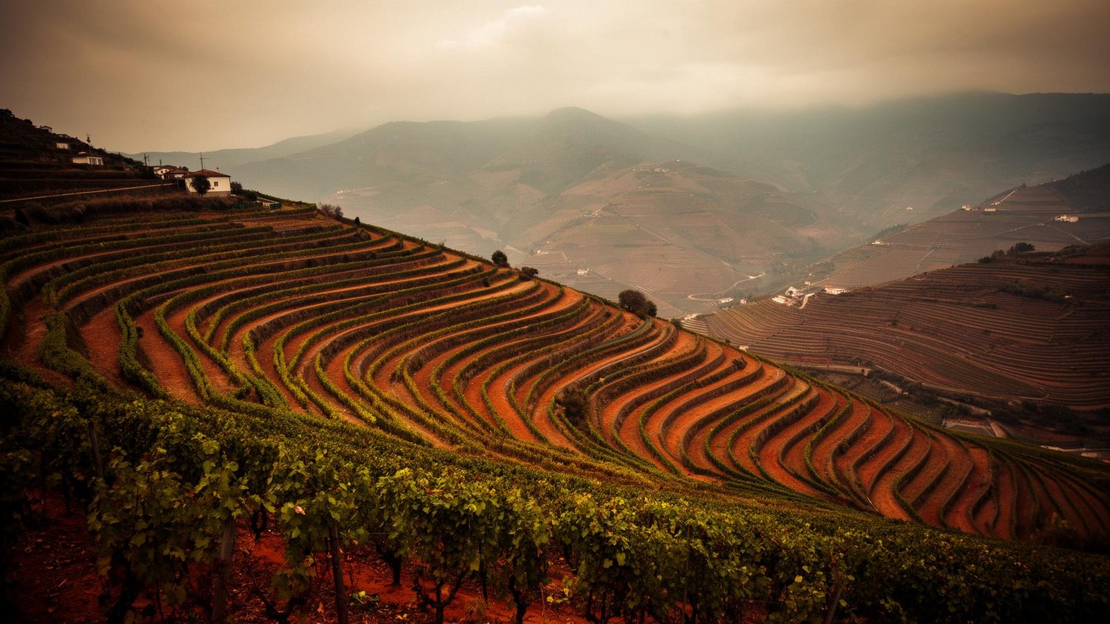Douro background